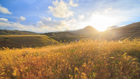 Beautiful bright sunset over the mountains in front of a field with grassの写真素材