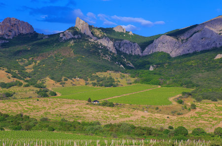 Landscape with a house in the center of a vineyard against the backdrop of mountains and a cloudy skyの写真素材