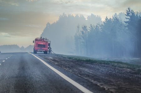 Fire truck and firefighter put out fire in the forest near the side of country highway