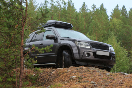 SUV in the forest in the rain. Journey to nature by carの写真素材