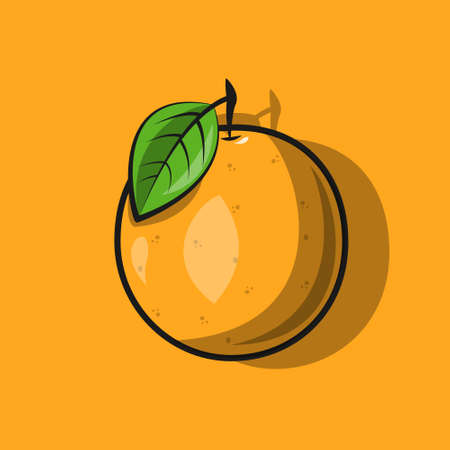 fancy fresh orange vector illustrationのイラスト素材
