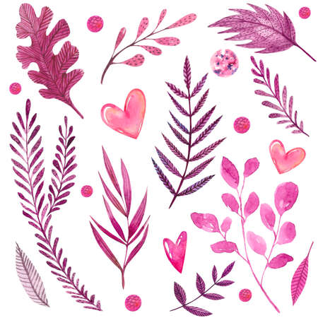 watercolor set with pink leaves, hearts isolated on white backgroundの写真素材