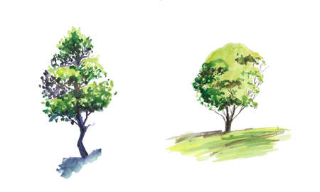Tree watercolor sketching on white backgroundの写真素材