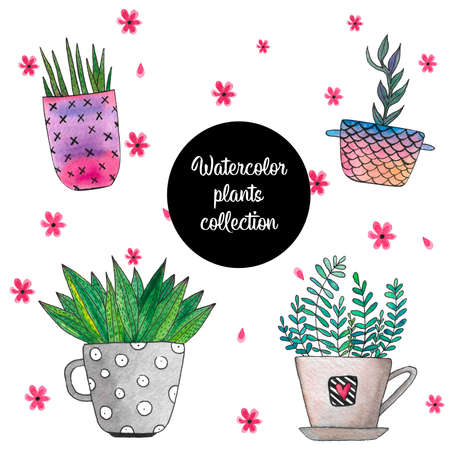Plants collection in colorful pots. Watercolor illustration on whiteの写真素材
