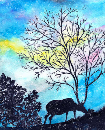 illustration of deer. Watercolor designの写真素材