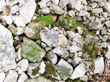 Colorful small pebbles or stone in garden with difference colorの写真素材