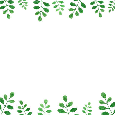 Watercolor border with green leavesの写真素材