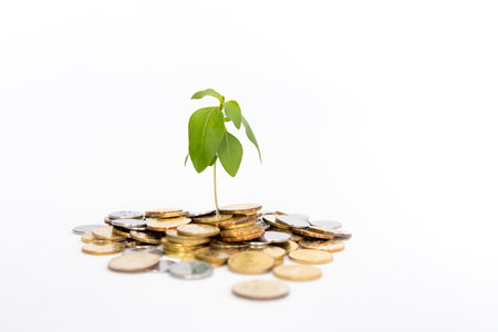 Coins growth up to profit concept investment and financeの写真素材