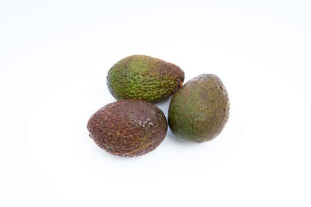 Avocado also refers to the Avocado tree's fruit, which is botanically a large berry containing a single seed. Avocados are very nutritious and contain a wide variety of nutrients.の写真素材