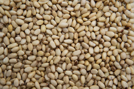Pine nuts. Top viewの写真素材