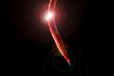 Chilliの写真素材