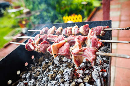 Barbecue skewers with meat, herb and spiceの写真素材