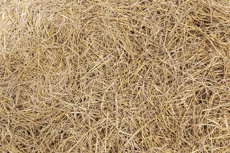 dry straw. background or textureの写真素材