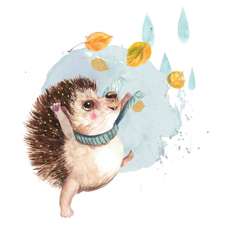 Cute hedgehog spreads autumn leaves against the background of raindrops Watercolor illustration isolated on white backgroundの写真素材