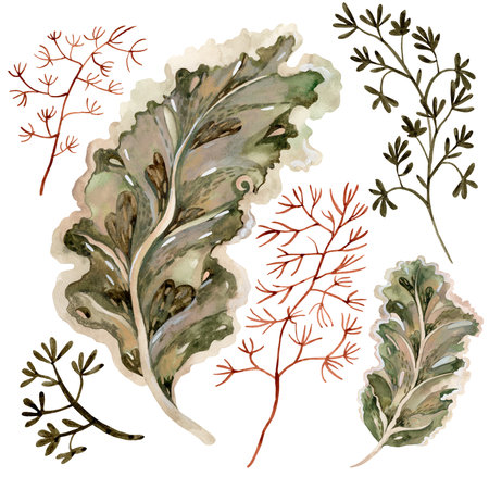 Set of stylized textured tropical leaves and twigs on a white background. Isolate. Flat illustration. Drawing for the design of souvenirs, cards, posters and invitations.の写真素材