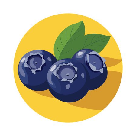 Blueberry The vector illustration is in a flat design style with simple shapes and clean linesのイラスト素材