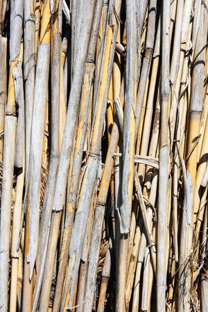Dry straw, (See more Invoice in my portfolio)