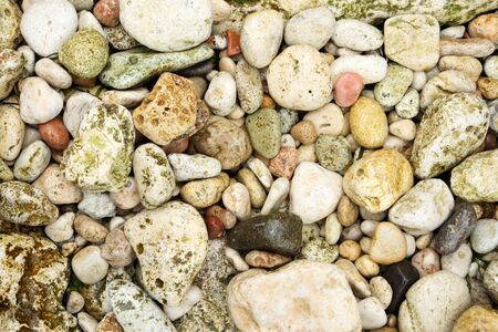 Texture colored sea rocks, background