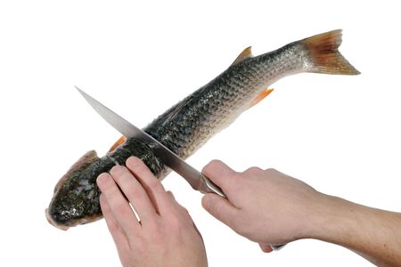 Preparation of baked fish on the white background