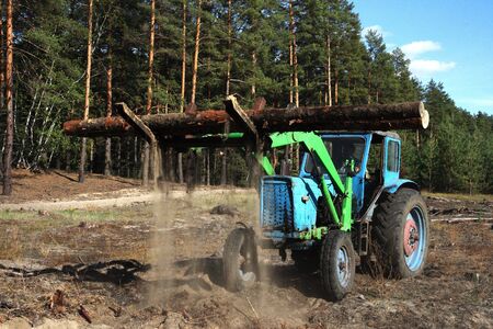 Loading logs of trees in the forest, backgroundの写真素材