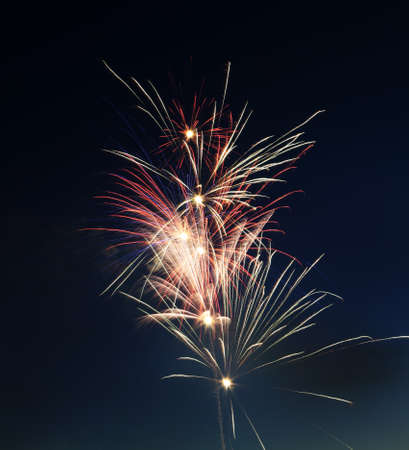 color fireworks against the dark night skyの写真素材
