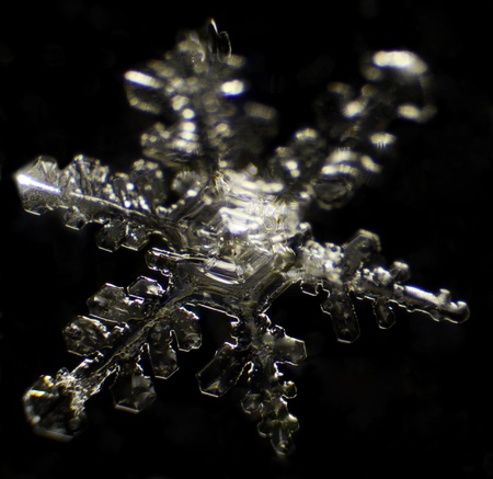 Snowflake under a microscope on the black backgroundの写真素材