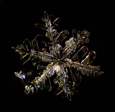 Snowflake under a microscope on the black backgroundの写真素材