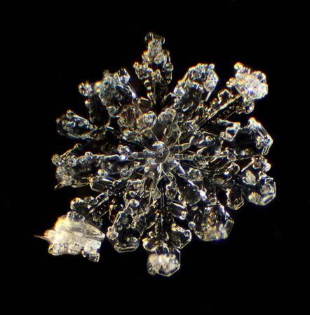 Snowflake under a microscope on the black background