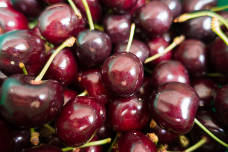 Background of ripe sweet cherry with pedunclesの写真素材