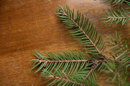 Lush green needle like leaves of spruce branches on wooden table