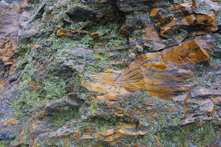 Grey and orange stone covered with lichen
