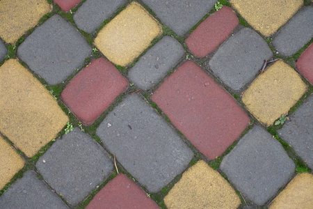 yellow, pink and grey colored wet concrete pavement with moss in joints texture
