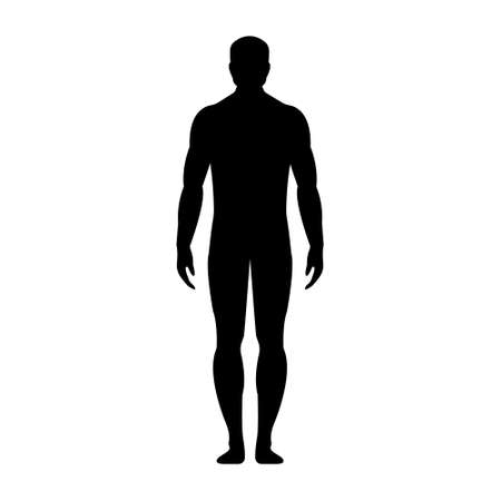 Man. Human front side Silhouette. Isolated on White Background. Vector illustration.のイラスト素材