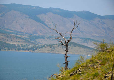 View on Tree, Mountain and Baikal Lake, Siberia. Summer.の写真素材