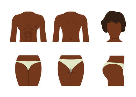 Set of Black Woman Body Part. Fat and Sporty Body Icon. Vector Illustration Label.のイラスト素材