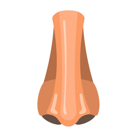 Nose. Face Body Icon. Vector Illustration Label.のイラスト素材