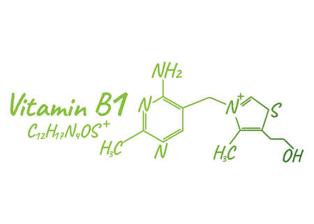 Vitamin B1 Label and Icon. Chemical Formula and Structure Logo. Vector Illustration.のイラスト素材