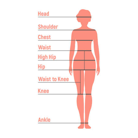 Woman Size Chart. Human front side Silhouette. Isolated on White Background. Vector illustration.