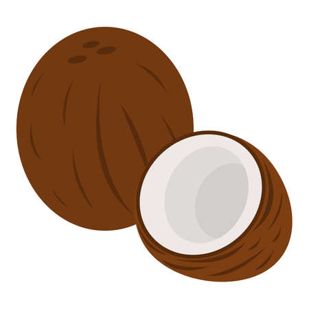 Coconut Icon. Food label,  for Web and Banners. Cartoon Vector Illustration.のイラスト素材