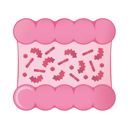 Bacteria Attack Intestine Concept Icon and Label. Health Research Symbol, Icon and Badge. Cartoon...