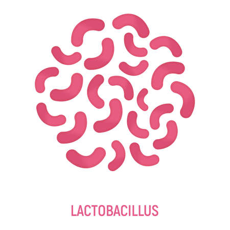 Lactobacillus Icon. Probiotic Concept and Label. Health Research Symbol, Icon and Badge. Cartoon Vector illustration.のイラスト素材