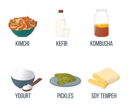 Set of Food with Probiotics. Healthy Food Style, Concept Icon and Label. Natural Probiotics Symbol, Icon and Badge. Cartoon Vector illustration.のイラスト素材