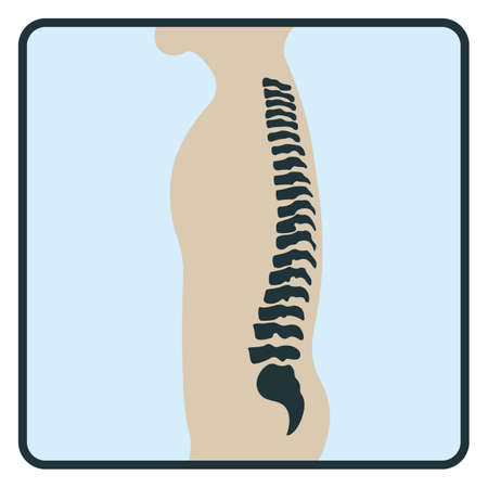 Spine backbone bone, x-ray concept icon, roentgen human body image isolated on white, flat vector illustration. Skeleton part of man organism, silhouette black biological science.のイラスト素材