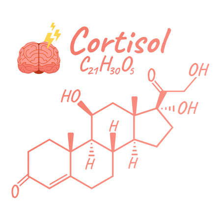 Human hormone cortisol concept chemical skeletal formula icon label, text font vector illustration, isolated on white. Periodic element table. Healthy lifestyle endocrine system.のイラスト素材