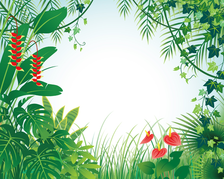 Jungle illustration.のイラスト素材