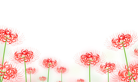 hurricane lily flowersのイラスト素材