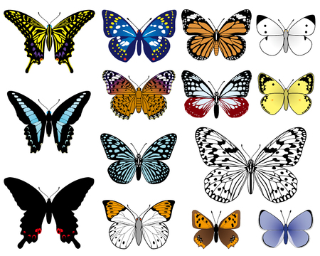 Japanese butterflies, isolated on white backgroundのイラスト素材