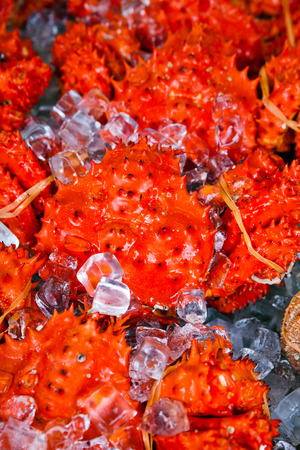 hanasaki crabs on iceの写真素材