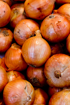 onions in a marketの写真素材
