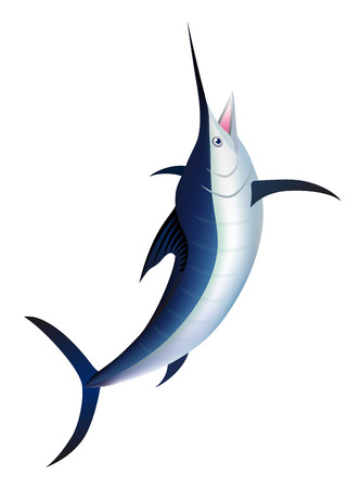 Jumping marlin fish, isolated on the white background.のイラスト素材